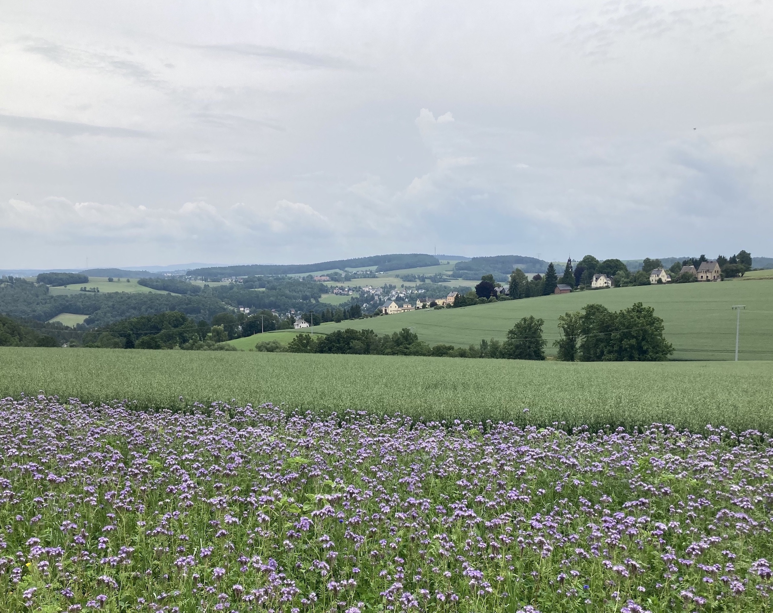 Vogtland